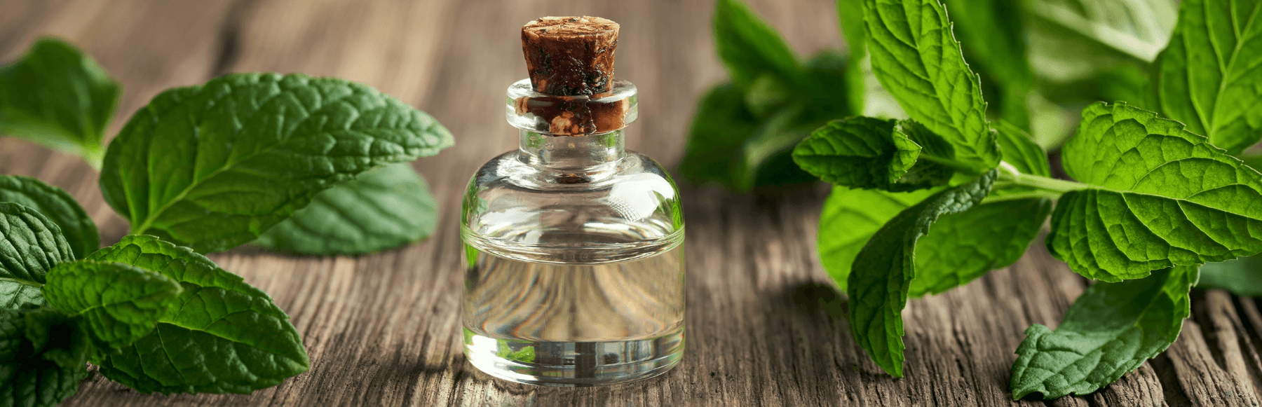 The Wonders of Peppermint Tea Tree Oil in Natural Hair Care