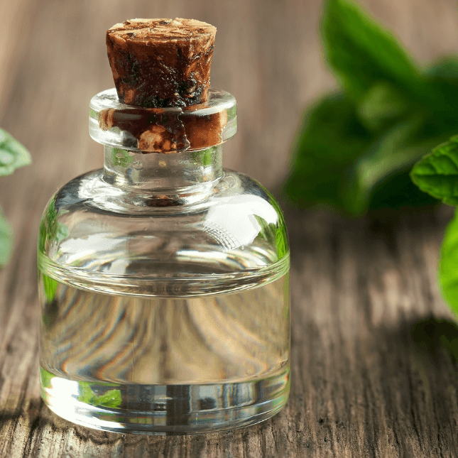 The Wonders of Peppermint Tea Tree Oil in Natural Hair Care