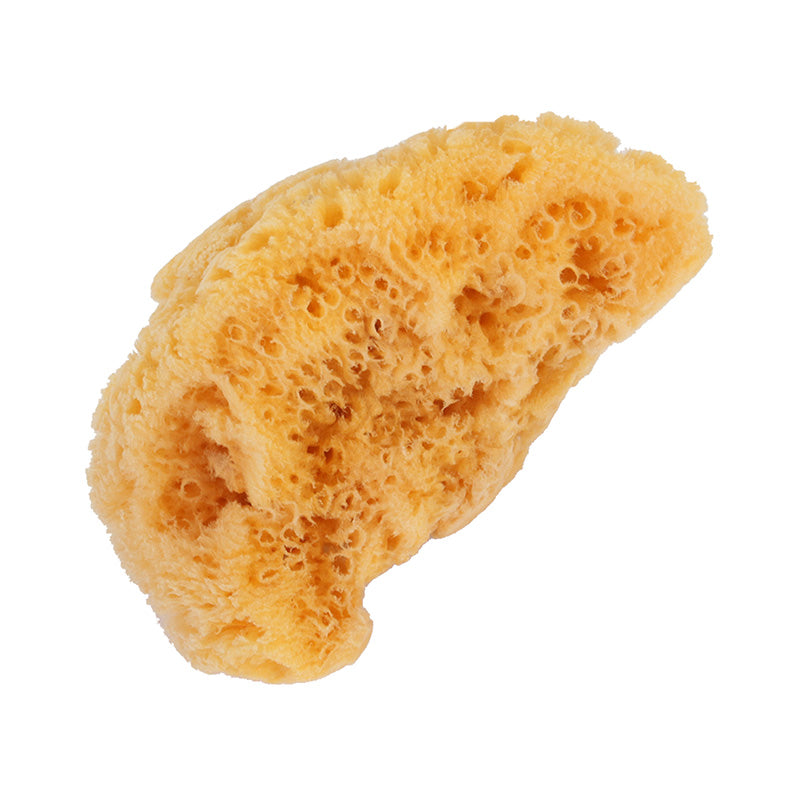 Real Sea Sponge for Men - Extra Large 6-7, Totally Natural, Kind on Skin  for an Invigorating Shower, Supplied in Breathable Mesh Bag. Great for The  Gym, Grooming, Bath & Body Gift