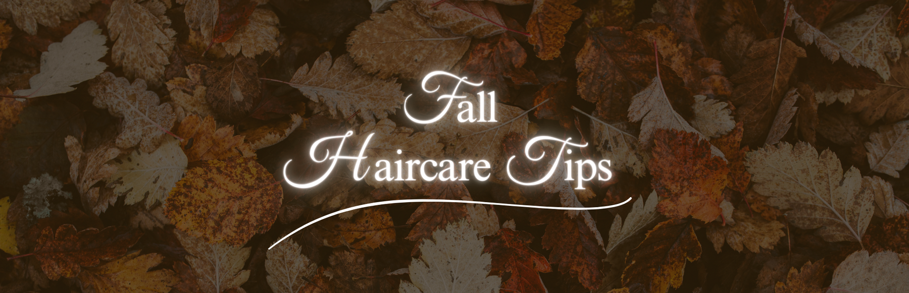 Essential Tips for Hair Care During Fall Season