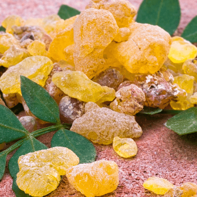 Why Frankincense Essential Oil is a Must-Have in Skincare Products - Griffin Remedy