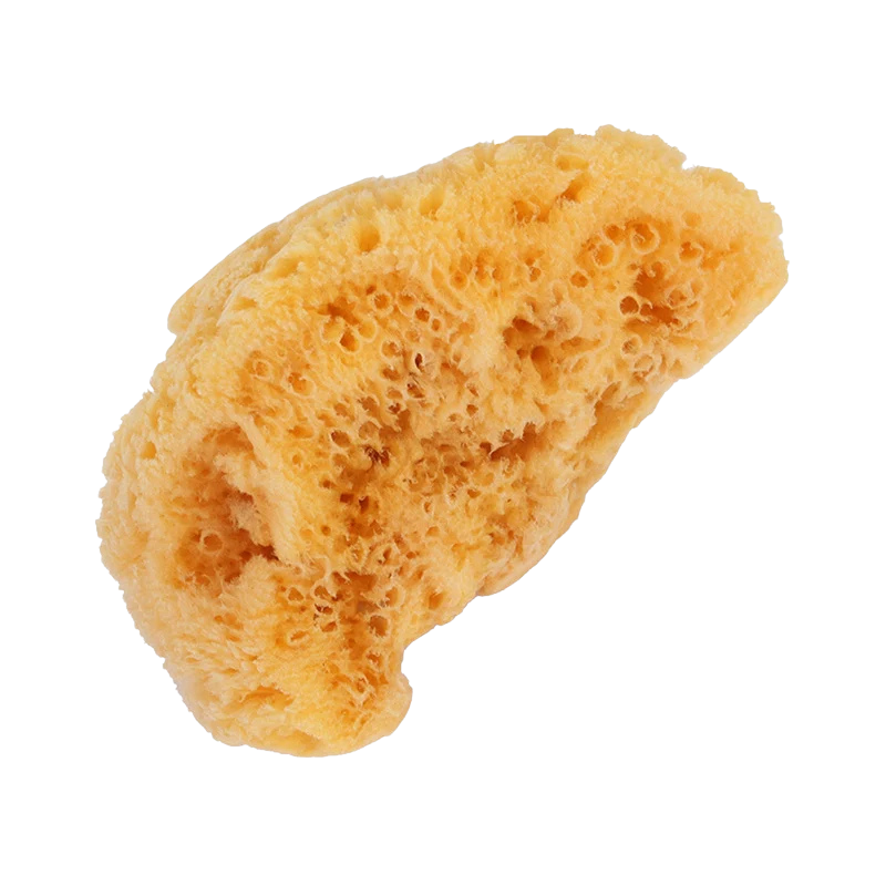 Sponge 1139 | Natural Sea Sponge Large
