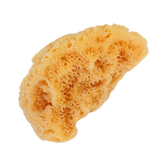 Sponge 1139 | Natural Sea Sponge Large